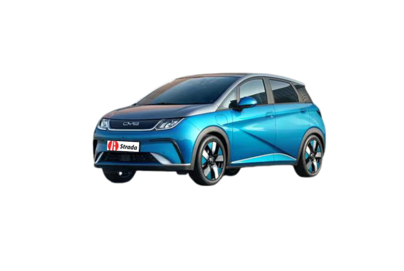 BYD Dolphin 60.48 kWh Design NOLEGGIO A LUNGO TERMINE Strada Srl